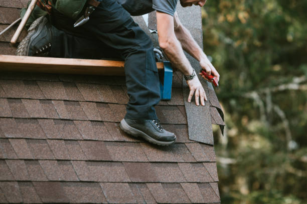 Best Roof Maintenance Services  in USA